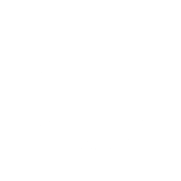 FLIPS SUPPLYY